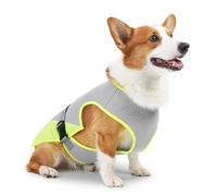 XFSRG Chaleco Refrescante para Perros Chaleco Relajante Enfriador de Verano Perro Agua Frio para Perros Pet Cooling Vest Refrigerante para Verano (L)