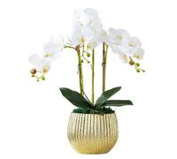 XFZJCHAP Tela de orquídea Artificial Phalaenopsis Flores con florero de cerámica Flor Artificial Falta Floral Falsa Faux
