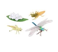 Xgdsnly Figuritas Animal Modelos Didácticos Juguetes Aprendizaje Crecimiento Simulación para Estudios Científicos Enseñanza en