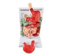 Xgdsnly Modelo Del Aparato Digestivo Didáctico | Médico, Modelo Del Gastrointestinal Humano, para Laboratorio, Profesores, Médicos