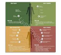 XGINERFEX 4 Heat Related Illnesses Prevention Guide Poster Educational Infographic Heat Stroke Canvas Wall-Art Print for Workplace Clinic(Framed,16x24inch(40x60cm))