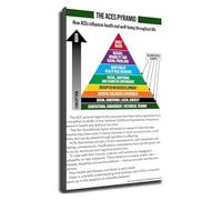 XGINERFEX Adverse Childhood Experiences ACEs Pyramid Chart Psychology Educational Poster Mental Health Awareness Wall-Art Office Decor(Unframed,08x12inch(20x30cm))