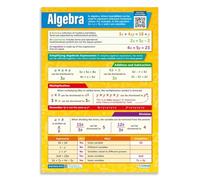 XGINERFEX Algebra Study Aid Poster - All-in-One Wall Chart with Key Concepts, Worked Examples and Practice Quiz, for Student Bedroom or Home Study Area(Framed,16x24inch(40x60cm))