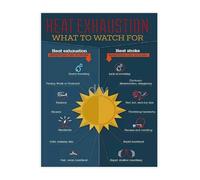 XGINERFEX Beat the Summer Heat Poster Awareness and Prevention Tips for Home and Workplace (Framed,16x24inch(40x60cm))