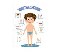 XGINERFEX Bilingual Body Parts Poster (English/Spanish) - Anatomy Wall-Art for Elementary ESL, Dual Language Classroom, Library, or 's Room(Unframed,16x24inch(40x60cm))