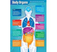 XGINERFEX Biology Poster Human Anatomy Body Organs Chart Detailed Illustration for Science Classroom Middle School High School Wall-Art(Unframed,16x24inch(40x60cm))