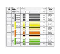 XGINERFEX BJJ Belt Rank Chart Poster Youth Brazilian Jiu Jitsu White Grey Yellow Orange Green Belt System Canvas Wall-Art for Dojo Home Gym(Framed,08x12inch(20x30cm))