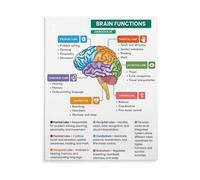 XGINERFEX Brain Lobes And Functions Chart Educational Science Poster Canvas Wall-Art for Psychology Classroom Study Room Decor(Unframed,16X24inch(40X60cm))