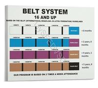 XGINERFEX Brazilian Jiu Jitsu Belt Progression Infographic Poster BJJ Rank Order Educational Canvas Print for Training Room Decor(Framed,12x18inch(30x45cm))