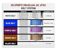 XGINERFEX Brazilian Jiu Jitsu Belt Rank Guide Educational Chart Poster BJJ Color Progression System Training Wall-Art for Home Dojo Gift(Framed,08x12inch(20x30cm))