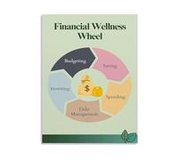XGINERFEX Budget Planning Wheel Chart Poster Personal Finance Tool Money Saving Educational Wall-Art Office Decor(Unframed,12x18inch(30x45cm))