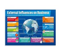 XGINERFEX Business Studies Poster External Influences on Business PESTLE Chart for Classroom Decor High School College Economics Teacher Gift Supplies(Unframed,16x24inch(40x60cm))