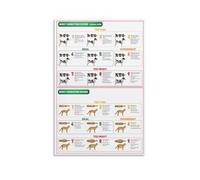 XGINERFEX Canine and Feline Body Condition Score Poster, BCS Chart for Assessing Pet Health and Nutrition, Veterinary Office Wall-Art and Home Study Reference(Framed,12x18inch(30x45cm))