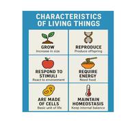 XGINERFEX Characteristics of Living Things Poster Biology Science Educational Chart for Classroom Homeschool Decor STEM Anchor Chart(Unframed,08X12inch(20X30cm))