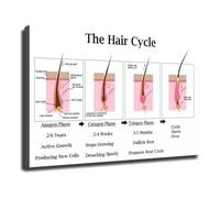 XGINERFEX Cosmetology Educational Poster Hair Follicle Anatomy and Growth Cycle Chart Wall-Art for School Clinic Training Office(Unframed,12X18inch(30X45cm))
