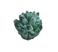 XGINERFEX Crystal Cluster, Rock, Large Clusters Stone, Raw, Geode Cave Stones,Green,200~300g Gemstone Stone