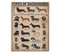XGINERFEX Dachshund Dog Variety Poster Breed Knowledge Chart Canvas Wall-Art Aesthetic Pet Lover Decor(Unframed,12x18inch(30x45cm))