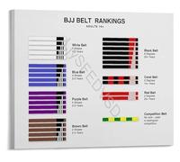 XGINERFEX Educational Martial Arts Poster BJJ Belt Rank Progression Guide Grappling Reference for Men Home Training Gym Wall-Art(Unframed,16x24inch(40x60cm))