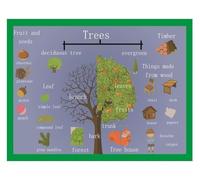 XGINERFEX Educational Tree Poster for - Parts of a Plant Science Chart, Botany Wall-Art for Preschool Classroom, Homeschool or Daycare(Framed,16x24inch(40x60cm))