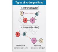 XGINERFEX Educational Wall-Art Chemistry Poster Types of Hydrogen Bonds Science Canvas Print for School Study Room(Framed,16x24inch(40x60cm))