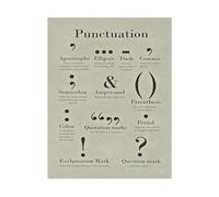 XGINERFEX English Writing and Grammar Poster Punctuation Guide Literary Terms Educational Chart for High School Teacher Classroom(Unframed,16x24inch(40x60cm))