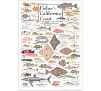 XGINERFEX Fishes of the California Coast Identification Poster, Marine Biology Chart with Garibaldi Rockfish Halibut, Educational Wall-Art for Classroom Office Decor(Framed,08x12inch(20x30cm))
