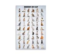 XGINERFEX Funny Cat Lovers with All Breeds, Cute Cartoon Types of Cats from Sphynx to Persian, Decorative Print for Bedroom, Dorm, Living Room(Unframed,16x24inch(40x60cm))