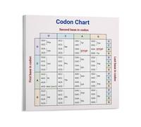 XGINERFEX Genetic Code and Amino Acids Educational Poster Codon Table Chart Biology Wall-Art for Science Classroom Decor Study Reference(Unframed,08x12inch(20x30cm))