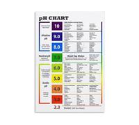 XGINERFEX Healthy Eating Poster Alkaline Diet Food Chart PH Scale Reference for Kitchen Decor Nutritionist Office Wellness Wall-Art Balanced Diet Guide(Framed,16X24inch(40X60cm))