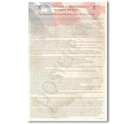 XGINERFEX History Poster Declaration of Independence Document Social Studies Classroom Decor Government Civics Educational Wall-Art for Teachers Students(Framed,16x24inch(40x60cm))
