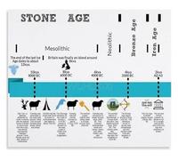 XGINERFEX History Timeline Poster Stone Age World History Educational Wall-Art For School Teaching Study Room(Framed,12x18inch(30x45cm))