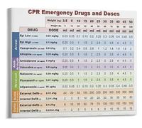 XGINERFEX In Case of Animal Emergency Poster Preparedness and Awareness Guide Canvas Wall-Art(Framed,16x24inch(40x60cm))
