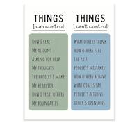 XGINERFEX Inspiring Motivational Poster Things I Can Cannot Control Classroom Therapist Office Decor Back To School Decor(Framed,16x24inch(40x60cm))