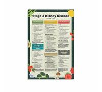 XGINERFEX Kidney-Friendly Grocery List Poster - Stage 3 CKD Approved Foods & Items to Limit - Simple Visual Diet Plan for Refrigerator or Kitchen Wall-Art(Unframed,08x12inch(20x30cm))