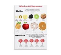 XGINERFEX Labor Process Poster Effacement Cervical Dilation Chart Childbirth Education Canvas Painting Wall-Art for Birth Class and Home Decor(Framed,16x24inch(40x60cm))