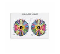 XGINERFEX Master Iridology Chart, Comprehensive Iris Analysis Reference on Canvas, for School of Medicine, Library, Office(Framed,12x18inch(30x45cm))