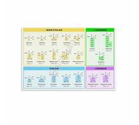 XGINERFEX Minimalist Genetic Code Poster, Amino Acids Chart Biology Print, Modern Abstract Science Art for Office, Clinic, Conference Room, Aesthetic Decor(Framed,16x24inch(40x60cm))