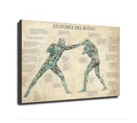 XGINERFEX Muscle Study of a Boxer Poster - Vintage Style Athletic Anatomy Art Print, Training Gym Wall-Art, Gift for Coach or Fighter(Unframed,08x12inch(20x30cm))