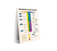 XGINERFEX Museum-Quality Evolution Chart - Vintage Geological Timeline Poster, Unframed History Art for Biology Lovers & Educational Decor(Framed,16x24inch(40x60cm))