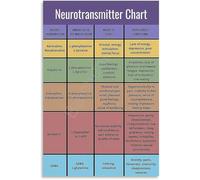 XGINERFEX Neuroscience Educational Wall-Art Canvas Print Neurotransmitter Chart Brain Chemistry Science for Study Room Office Decor(Framed,12x18inch(30x45cm))