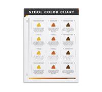 XGINERFEX Office Decor Canvas Print Anatomy of Digestion Educational Chart Poster for Clinic Waiting Room(Framed,12x18inch(30x45cm))