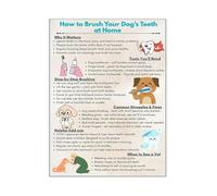 XGINERFEX Pet Hospital Wall Decor Dog Care Guide Poster with Veterinary Tips Canvas Print for Clinic or Home(Framed,12x18inch(30x45cm))