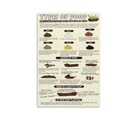XGINERFEX Poop Chart Poster - Bristol Stool Chart & Stool Health Color Shape Reference(Framed,08x12inch(20x30cm))