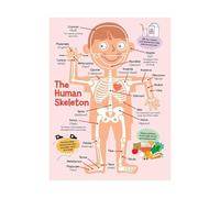 XGINERFEX Poster: The Human Skeletal System, Labeled Diagram for Anatomy & Physiology Study, Classroom or Healthcare Office Wall Decoration(Framed,08x12inch(20x30cm))