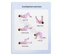 XGINERFEX Postpartum Recovery Workout Poster 5 Exercises for Pelvic Floor and Core Strength Mom Guide Wall-Art(Unframed,16x24inch(40x60cm))