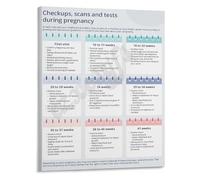 XGINERFEX Prenatal Health Timeline Poster Pregnancy Checkups Scans Tests Guide for Doctor Visit Prep Educational Wall-Art(Framed,08x12inch(20x30cm))