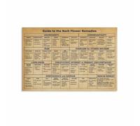 XGINERFEX Remedies Flower Chart, Essences Meanings & Uses Guide, Informative Canvas Poster for Herbalist, Study, or Spiritual Room Decor(Framed,12x18inch(30x45cm))