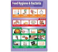 XGINERFEX Retro Science Poster Vintage Food Hygiene and Bacteria Chart Canvas Wall-Art for Classroom Decor School Cafe Kitchen Decor(Framed,16x24inch(40x60cm))