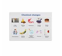 XGINERFEX Science Classroom Decor: Chemical vs Physical Change Poster - Educational Wall Chart for Teachers, Students, Home Schooling(Framed,16x24inch(40x60cm))