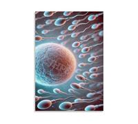 XGINERFEX Science Classroom Decor, Human Fertilization with Sperm and Egg, Biology Learning Canvas Painting (Unframed,12x18inch(30x45cm))